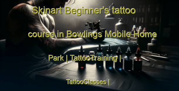 Skinart Beginner's tattoo course in Bowlings Mobile Home Park | TattooTraining | TattooClasses | SkinartTraining-United States